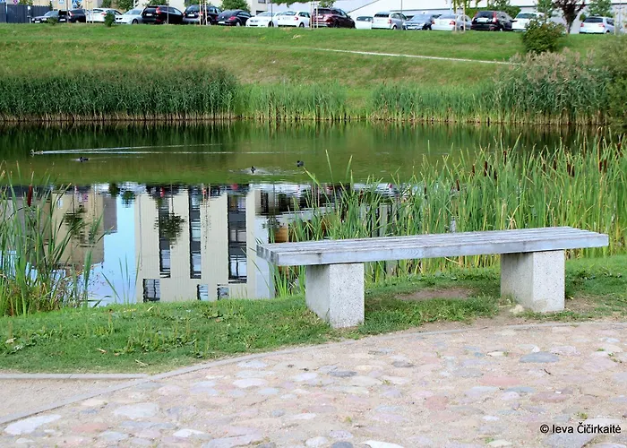 Amber Free Parking - Self Check In *